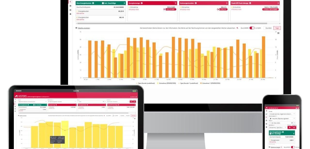 Dynamische Tarife: Energie sparen und Verbrauch steuern (Foto: KISTERS)